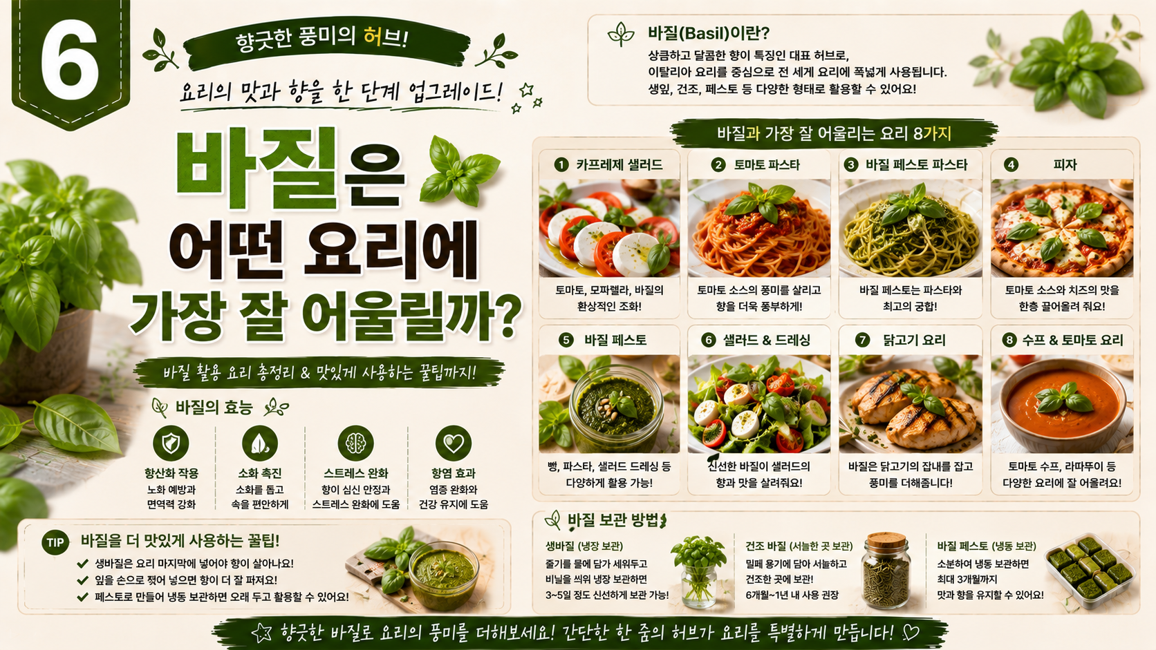 바질설명